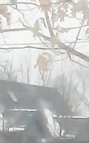 [VIDEO] A gdyby tak...- Kot Marzyciel