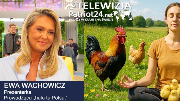 [VIDEO] Ewa Wachowicz i jej kury – radość, która wraca z dzieciństwa